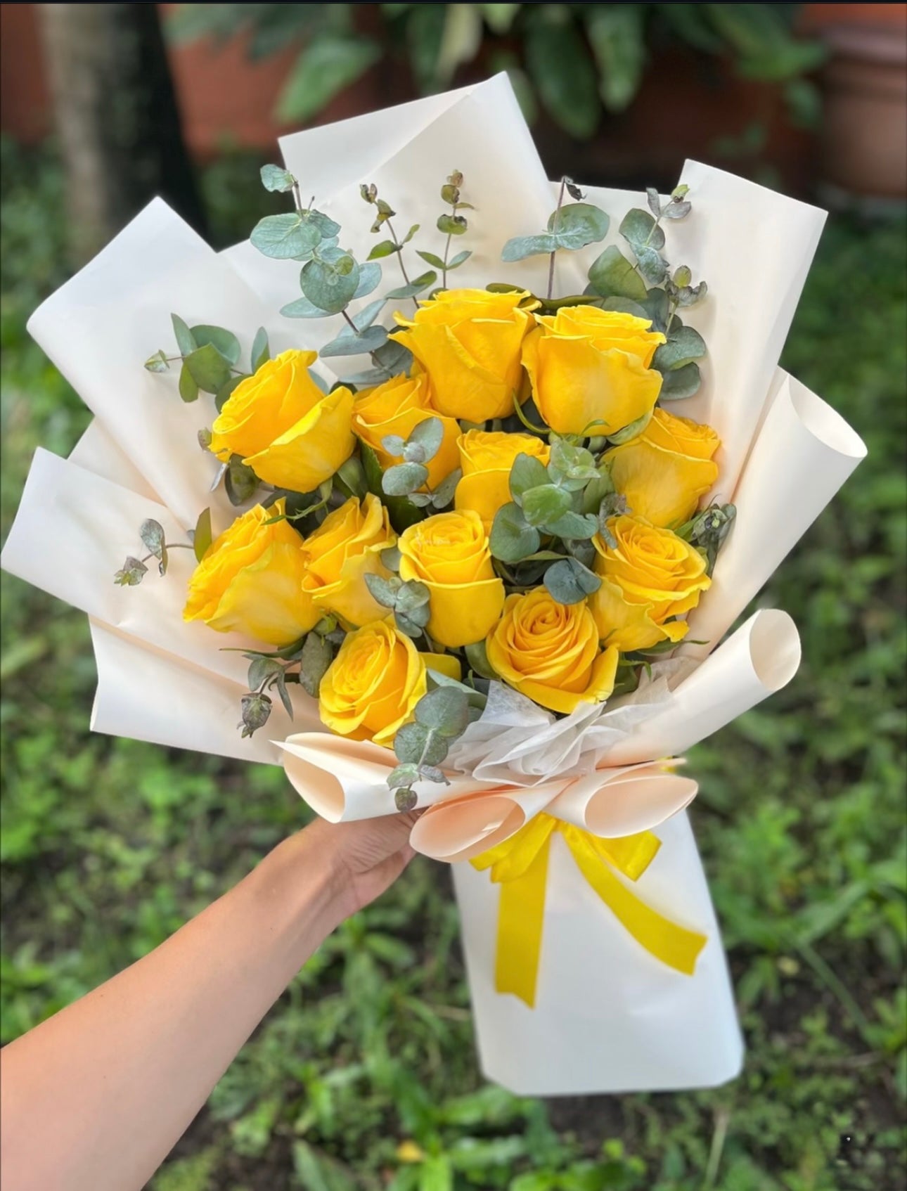 12 Roses of Romance Arrangement 🌹