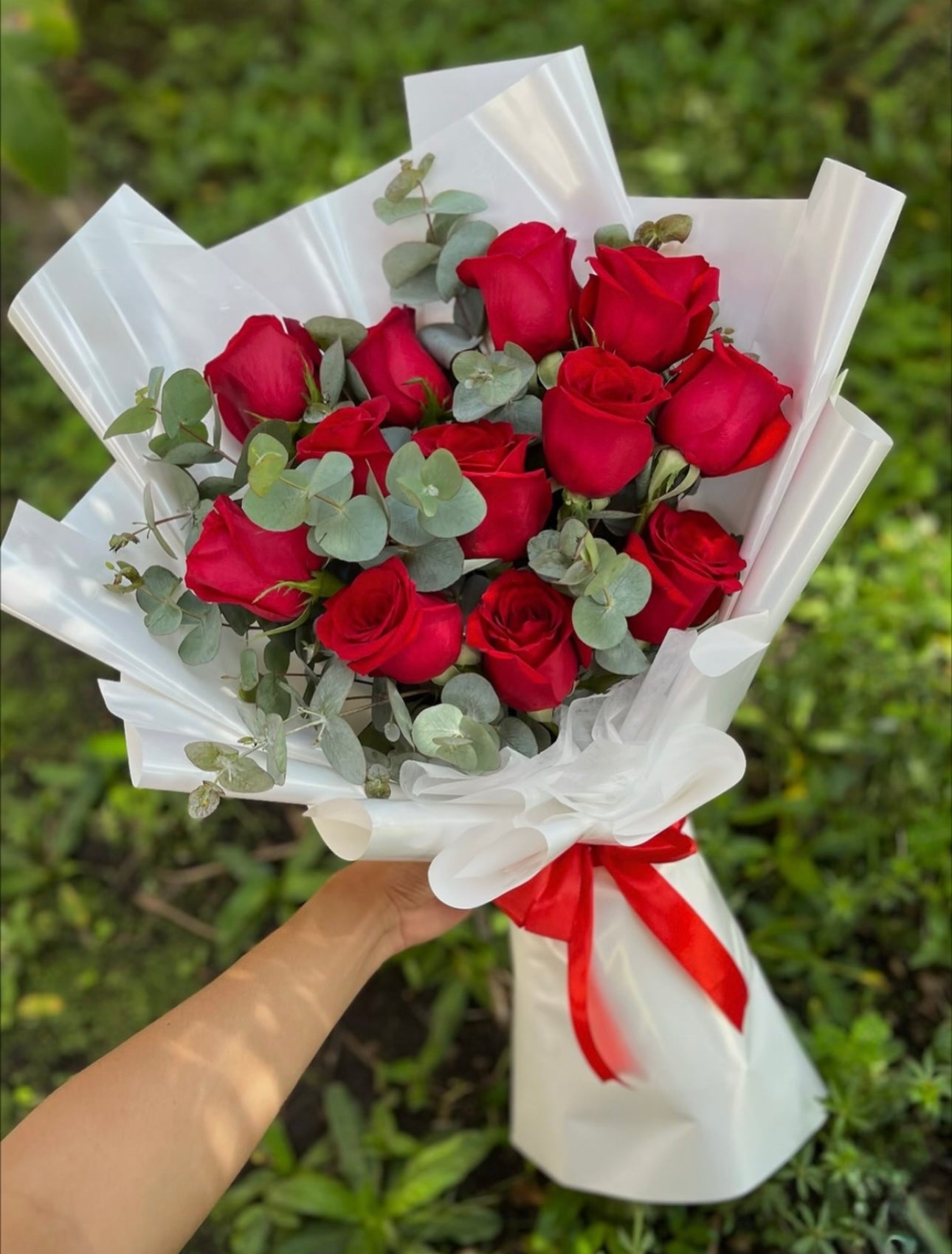 12 Roses of Romance Arrangement 🌹